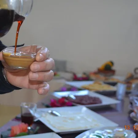乌戈尔酒店 酒店 费特希耶