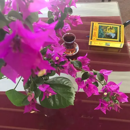 اويغار 3*