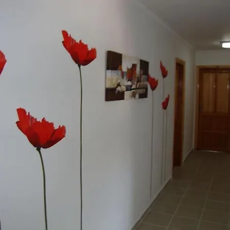 우이가르 3* 페티예