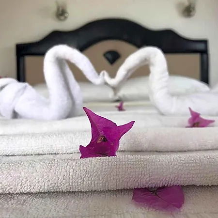 اويغار فتحية