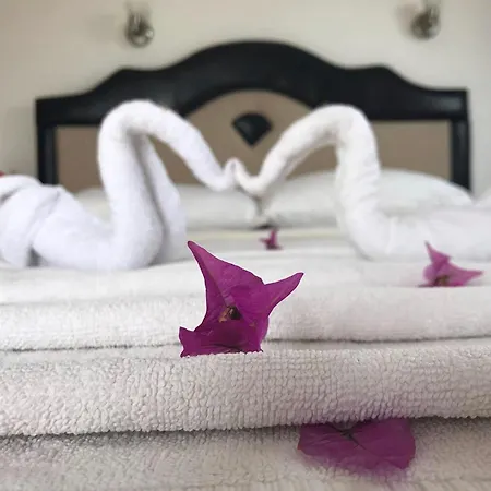 Uygar Hotel 3*